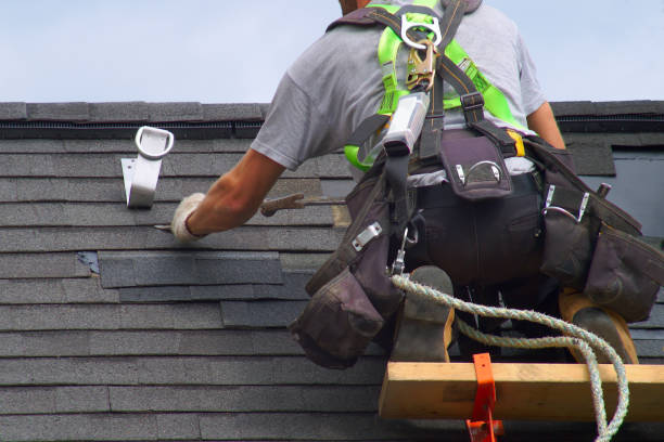 Best Roof Moss and Algae Removal  in Wintersville, OH